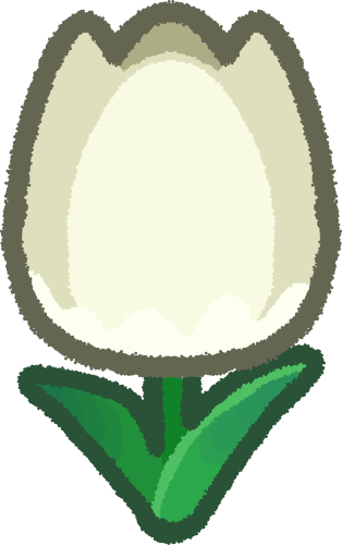 a white tulip on a green stem.